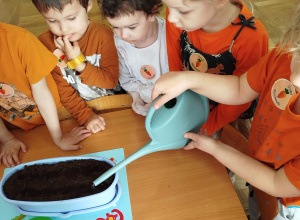 Koło kulinarne "Wiem co jem- marchew"