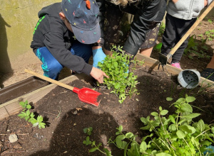 Warsztaty ogrodnicze SADZENIE ZIÓŁ