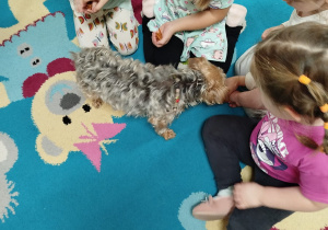 Dzieci karmią psa smakołykami