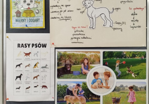 tablica z materiałami obrazkowymi