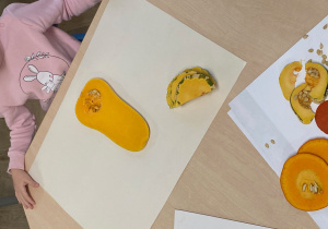 Plastry i kawałki dynki