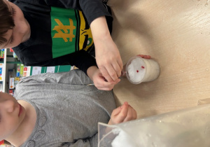 dzieci wlewają barwniki do śniegu