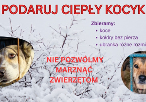 Plakat informujący o zbiórce koców, kołder i ubranek dla bezdomnych zwierząt.