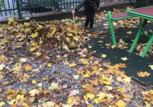 Hubert sprząta liście